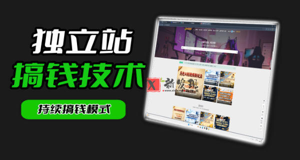 干货来袭！麦子甜带你吃透独立站｜从搭建到引流一站式教学《独立站》第一期-新发现资源网