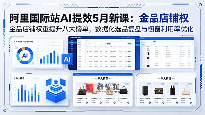 （18556期）阿里国际站AI提效5月新课：金品店铺权重提升八大榜单，数据化选品复盘与橱窗利用率优化-新发现资源网
