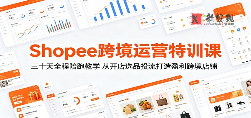 Shopee跨境运营特训课:三十天全程陪跑教学,从开店选品投流打造盈利跨境店铺-新发现资源网
