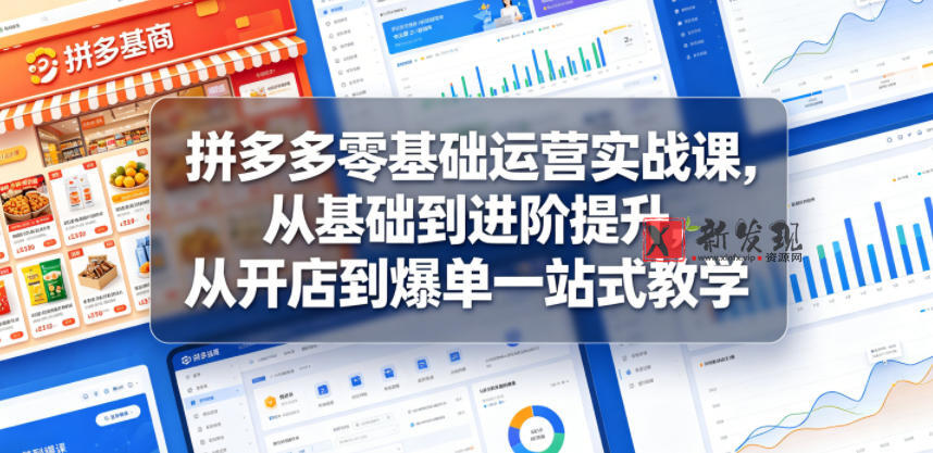 拼多多零基础运营实战课,从基础到进阶提升,从开店到爆单一站式教学-新发现资源网
