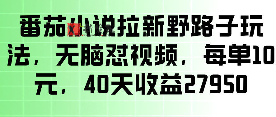 番茄小说拉新野路子玩法,无脑怼视频,玩法简单、见效快,每单10米,40天收益27950 番茄小说拉新野路子玩法,无脑怼视频,玩法简单、见效快,每单10米,40天收益27950