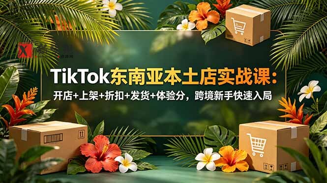 （18984期）TikTok东南亚本土店实战课：开店+上架+折扣+发货+体验分，跨境新手快速入局-新发现资源网