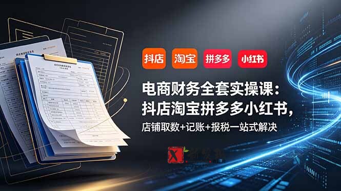 （19001期）电商财务全套实操课：抖店淘宝拼多多小红书，店铺取数+记账+报税一站式解决-新发现资源网
