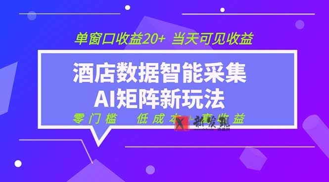 （19041期）2026酒店数据采集ai智能矩阵新风口  低成本   高收益   当天见收益   单窗口20+-新发现资源网