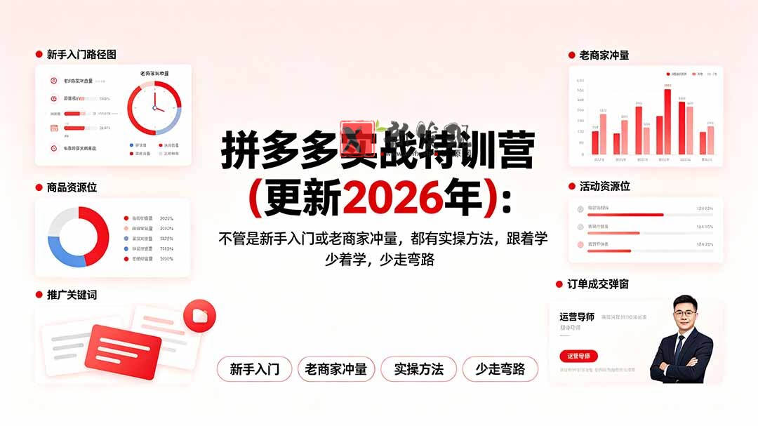 (19291期)拼多多实战特训营(更新2026年):不管是新手入门或老商家冲量,都有实操方法,跟着学,少走弯路-新发现资源网