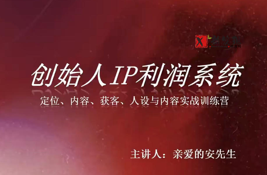 创始人IP利润系统8月训练营，定位、内容、获客、人设与内容实战训练营-新发现资源网