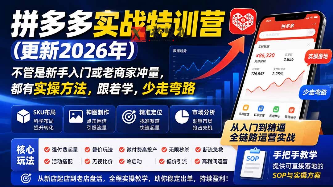 (19744期)拼多多实战特训营(更新2026年):不管是新手入门或老商家冲量,都有实操方法,跟着学,少走弯路-新发现资源网