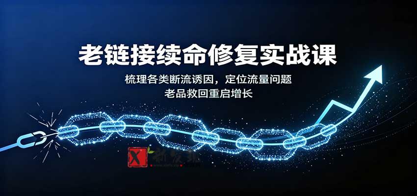 老链接续命修复实战课：梳理各类断流诱因，定位流量问题，老品救回重启增长-新发现资源网