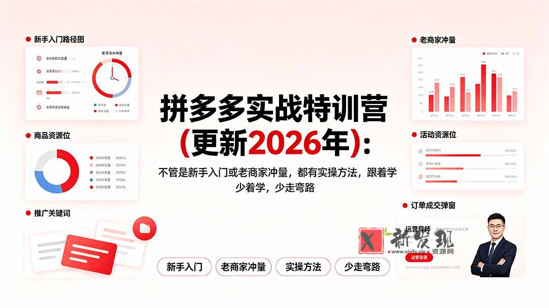 （19724期）拼多多实战特训营(更新2026年)：不管是新手入门或老商家冲量，都有实操方法，跟着学，少走弯路