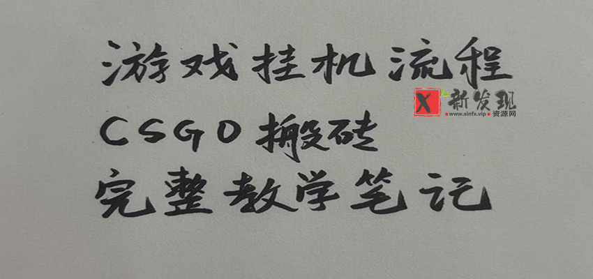 游戏挂机全流程笔记分享，CSGO游戏搬砖，小白看了当天学会见收益-新发现资源网