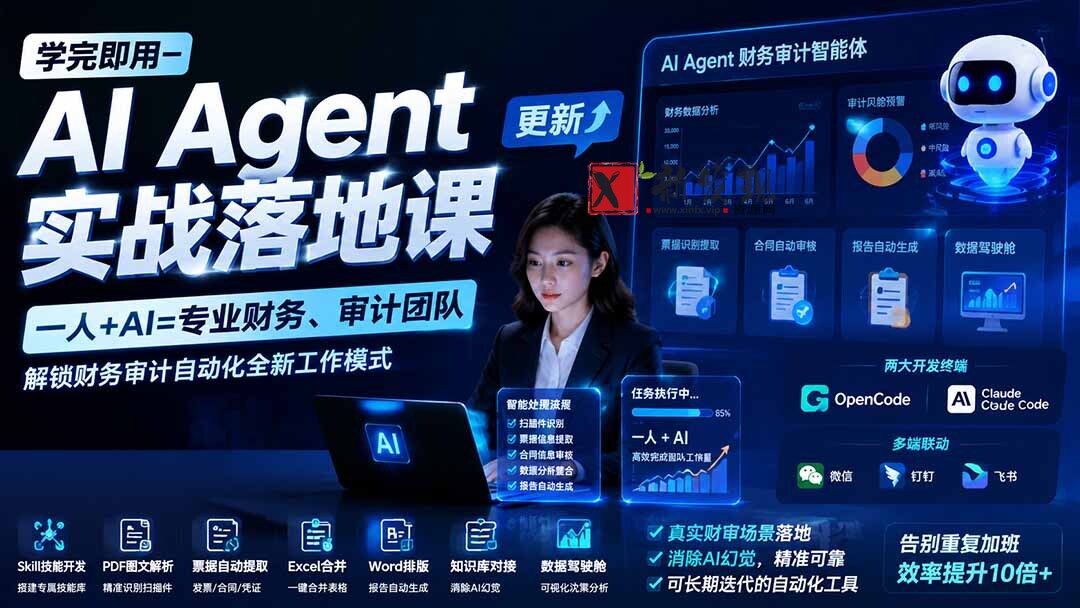 （19740期）学完即用—AI Agent实战落地课-更新：一人+AI=专业财务、审计团队，解锁财务审计自动化全新工作模式-新发现资源网