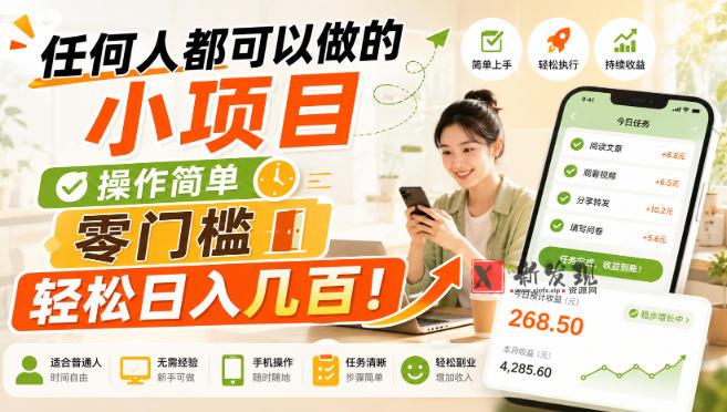 任何人都可以做的小项目：操作简单，零门槛轻松日入几百！-新发现资源网