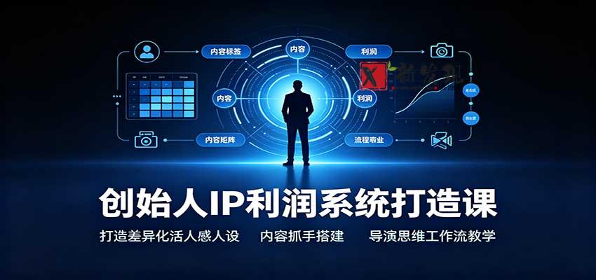 创始人IP利润系统打造课：打造差异化活人感人设，内容抓手搭建，导演思维工作流教学-新发现资源网