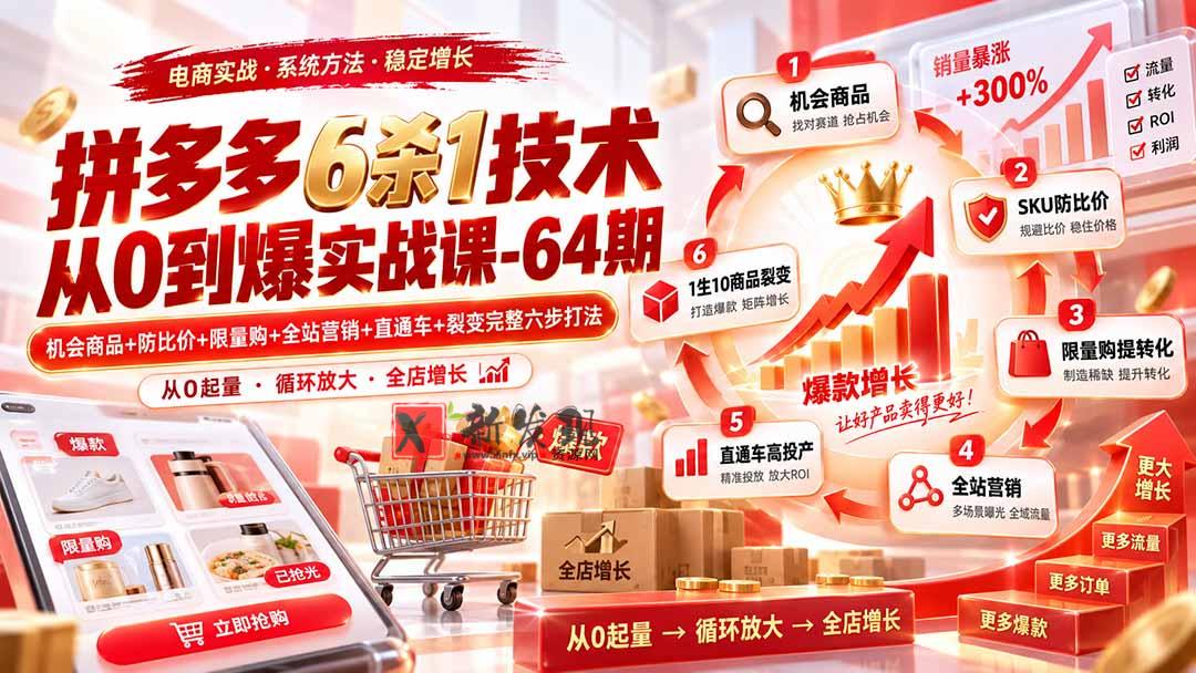 （20315期）拼多多6杀1技术从0到爆实战课-64期：机会商品+防比价+限量购+全站营销+直通车+裂变完整六步打法-新发现资源网