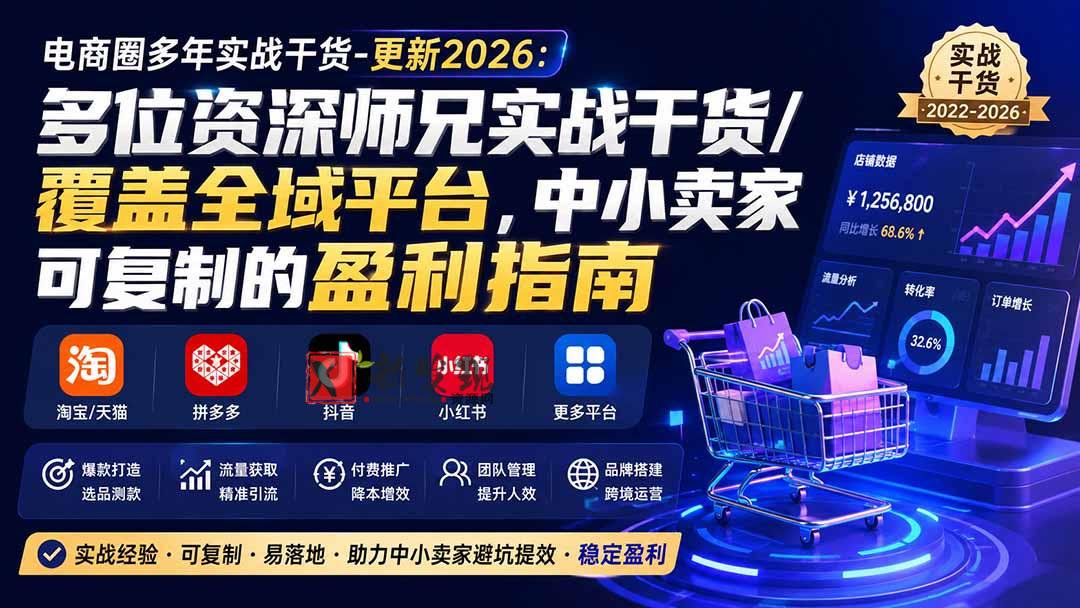 （20347期）电商圈多年实战干货-更新2026：多位资深师兄实战干货/覆盖全域平台，中小卖家可复制的盈利指南-新发现资源网