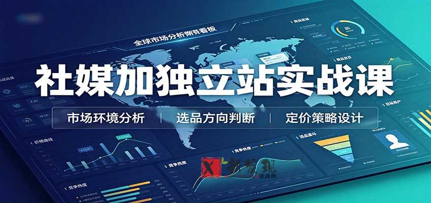 社媒加独立站实战课：市场环境选品定价，社媒运营建站，私域网红营销教学-新发现资源网