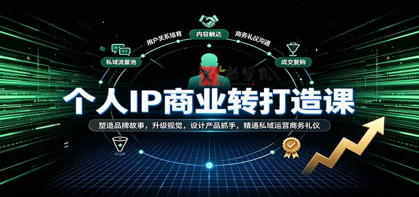 个人IP商业打造课:塑造品牌故事,升级视觉,设计产品抓手,精通私域运营商务礼仪-新发现资源网