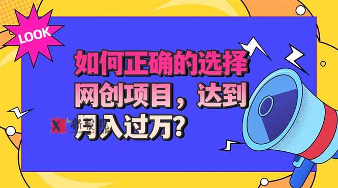 （20234期）选择大于努力！选对项目才能实现月入过万，才能避免成为绿油油的韭菜-新发现资源网