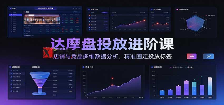 达摩盘投放进阶课：店铺与竞品多维数据分析，精准圈定投放标签-新发现资源网