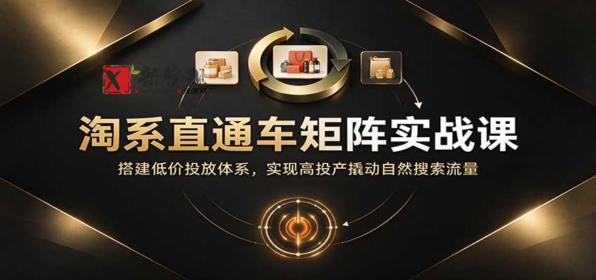 淘系直通车矩阵实战课：搭建低价投放体系，实现高投产撬动自然搜索流量-新发现资源网