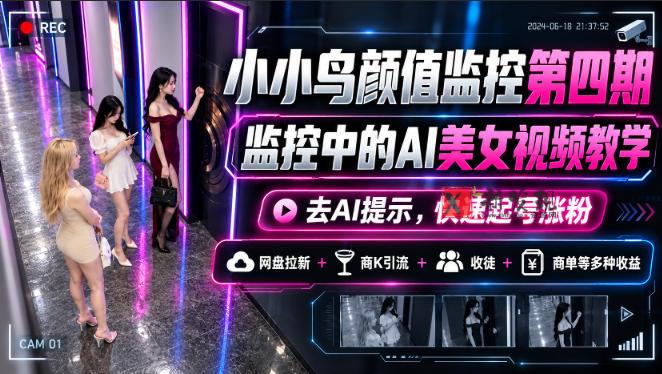 小小鸟颜值监控第四期，监控中的AI美女视频教学，去AI提示，快速起号涨粉，网盘拉新+商K引流+收徒+商单等多种收益-新发现资源网