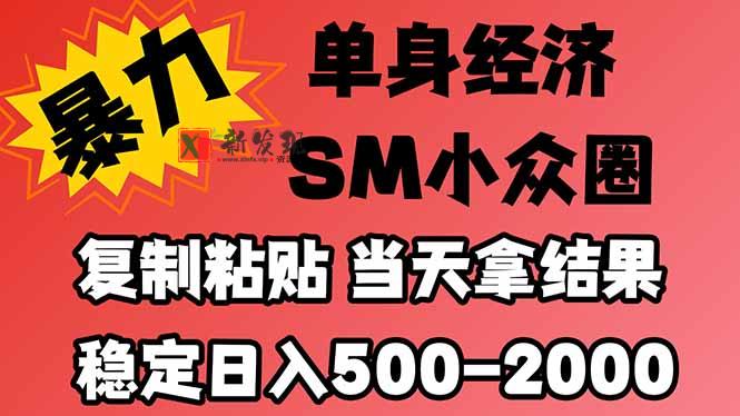 26年 最新小众情感赛道，手机操作，十分钟见收益，小白也能当天上手，全程复制粘贴模板即可，稳定日入1k+-新发现资源网