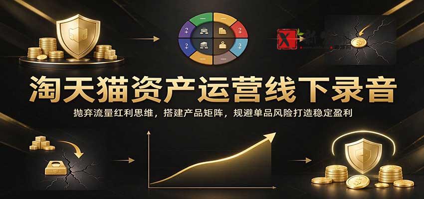 淘天猫资产运营线下录音：抛弃流量红利思维，搭建产品矩阵，规避单品风险打造稳定盈利-新发现资源网