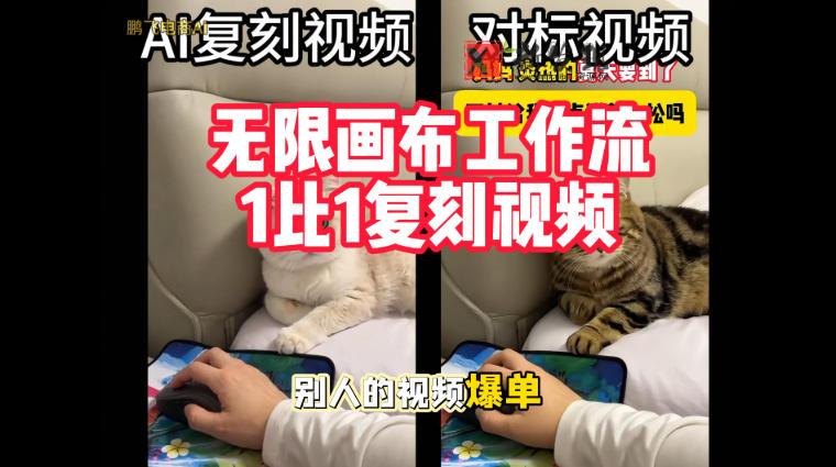 宠物带货视频复刻，无限画布工作流1比1，不用拍摄、不用布景、不用真人出镜，几分钟就能做出一条专业带货视频-新发现资源网