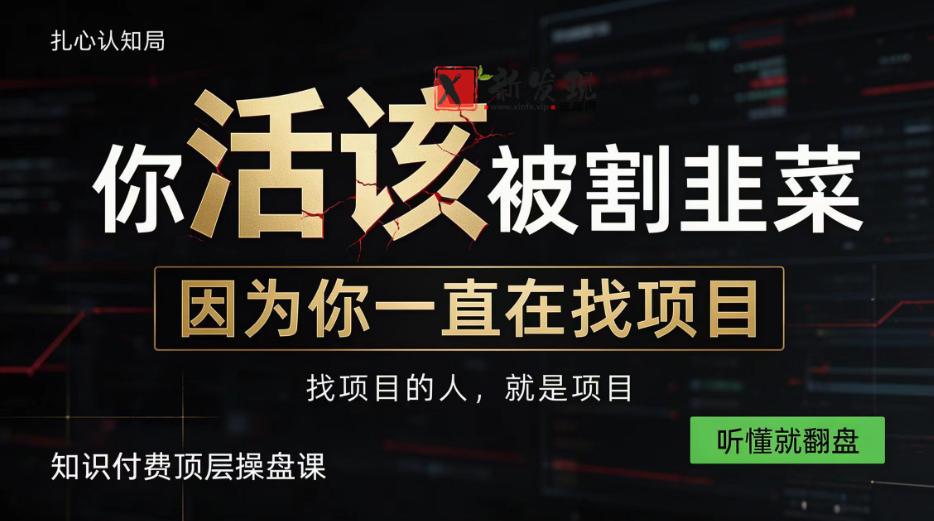 做项目不如卖项目，做知识付费自己当老板，知识付费顶层操盘课，听懂就翻盘【揭秘】-新发现资源网