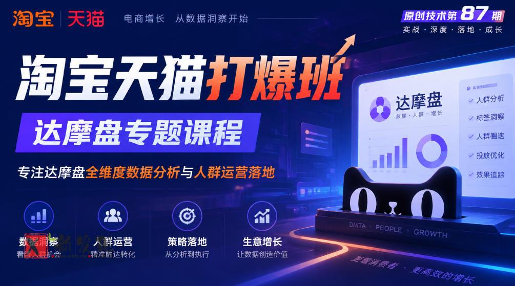 《淘宝天猫打爆班》原创技术第87期,达摩盘专题课程,专注达摩盘全维度数据分析与人群运营落地-新发现资源网