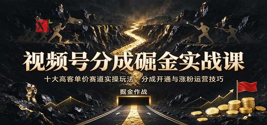 视频号分成掘金实战课：十大高客单价赛道实操玩法，分成开通与涨粉运营技巧-新发现资源网