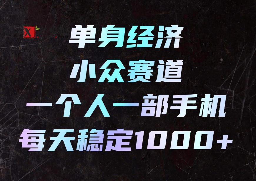 单身经济小众赛道，一个人一部手机，每天稳定1000+，利用下班碎片时间即可【揭秘】-新发现资源网